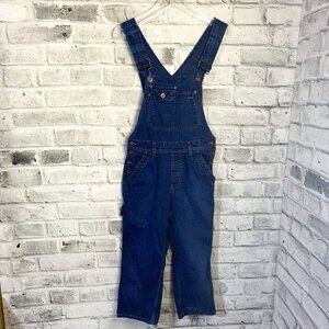 intage 90s Y2K Silver Jeans Denim Bib Overalls
